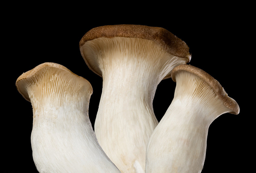 蔬菜配送需要注意什么？